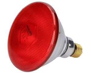 Promiennik czerwony lampa grzejna Phillips 175W