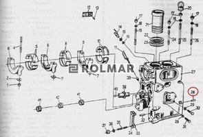 Kołek ustalający bloku cylindra C-330 [50102560]