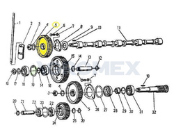Koło zębate na wałek rozrządu 950424 C-360 Zetor oryginał Ursus