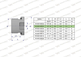 Korek hydrauliczny calowy (na imbus) 1/4" BSP ED Waryński