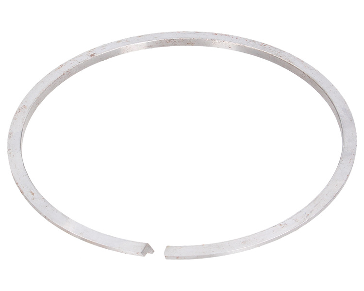 Pierścień metalowy przekładni bezstopniowej Bizon 5040270160