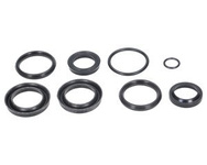 Zestaw uszczelnień siłownika wariatora stary typ Bizon F-174