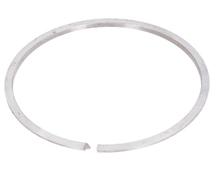 Pierścień metalowy przekładni bezstopniowej Bizon 5040270160