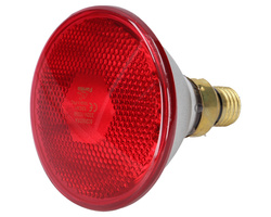 Promiennik czerwony lampa grzejna Farma 100 W
