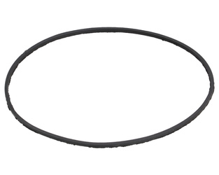 Uszczelka separatora duża Bizon FSO4-00.09