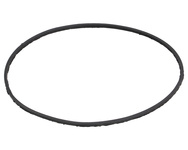 Uszczelka separatora duża Bizon FSO4-00.09