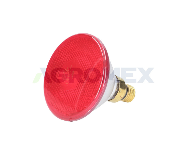 Promiennik czerwony lampa grzejna PAR 100W