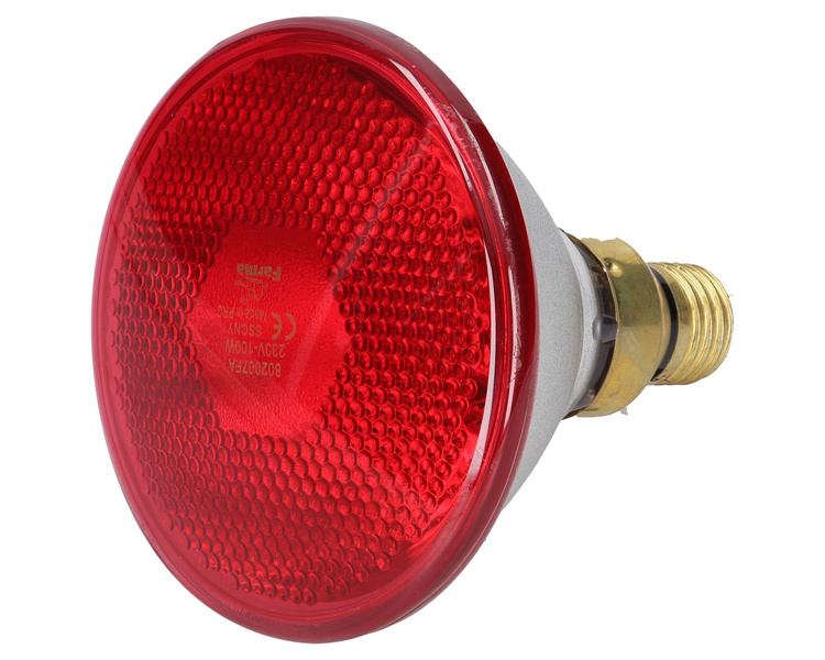 Promiennik czerwony lampa grzejna Farma 100 W
