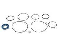 Zestaw uszczelek pompa Bizon F-319