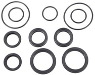 Zestaw uszczelnień siłownika wspomagania skrętu Claas CL0004