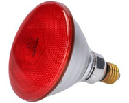 Promiennik czerwony lampa grzejna PAR 100W