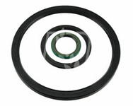 Zestaw uszczelnień - siłownika podnoszenia hedera kombajn Claas CL0019